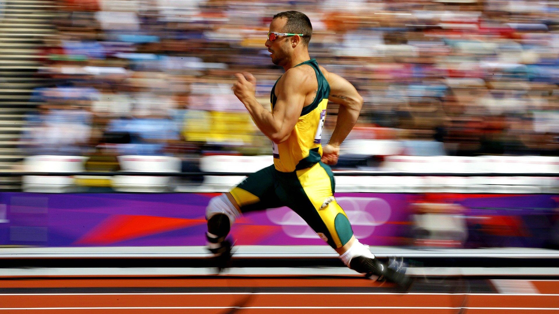 中国短道速滑世界杯首轮赛场,任子威再创佳绩强势夺金,中国短道速滑队任子威